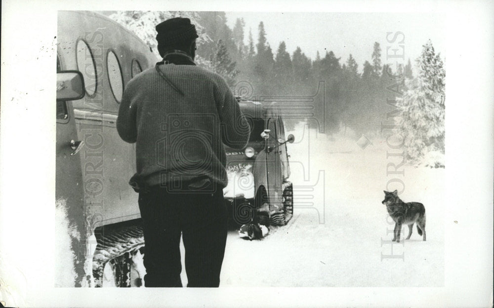 1964 Press Photo tourist Yellowstone National Park - Historic Images