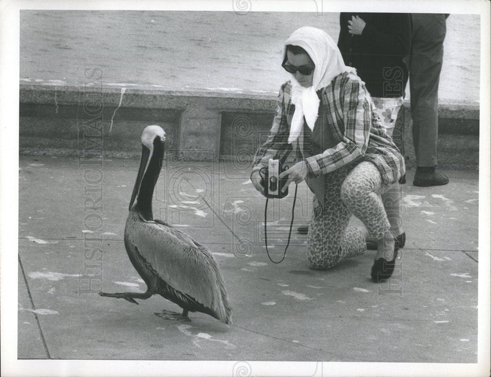 1968 Press Photo St Petersburg Municipal Pier - Historic Images