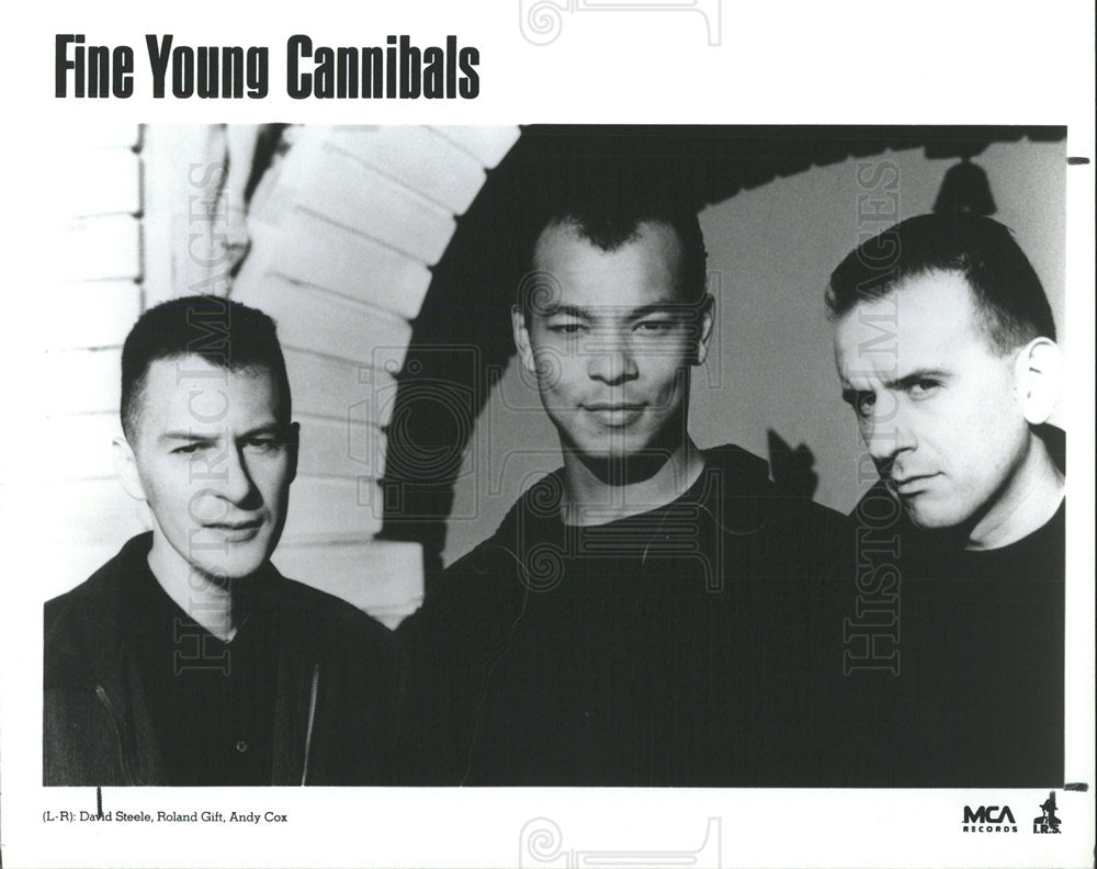 1989 Press Photo MUSICAL GROUP FINE YOUNG CANNIBALS - Historic Images