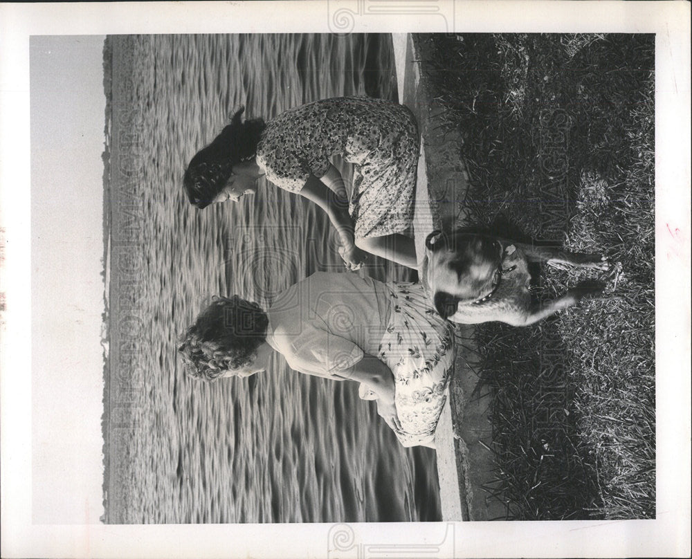 1964 Press Photo Bradenton Waterfront Women With Dog - Historic Images