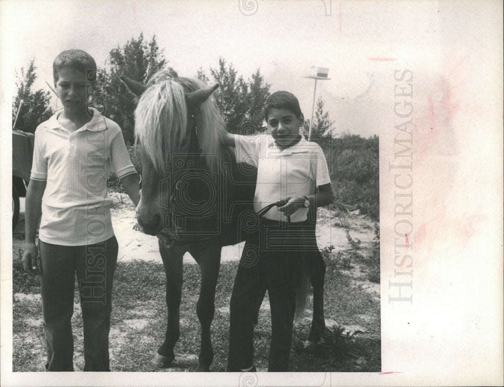 1968 Press Photo Joseph Clemente Jr. pony Trigger - Historic Images