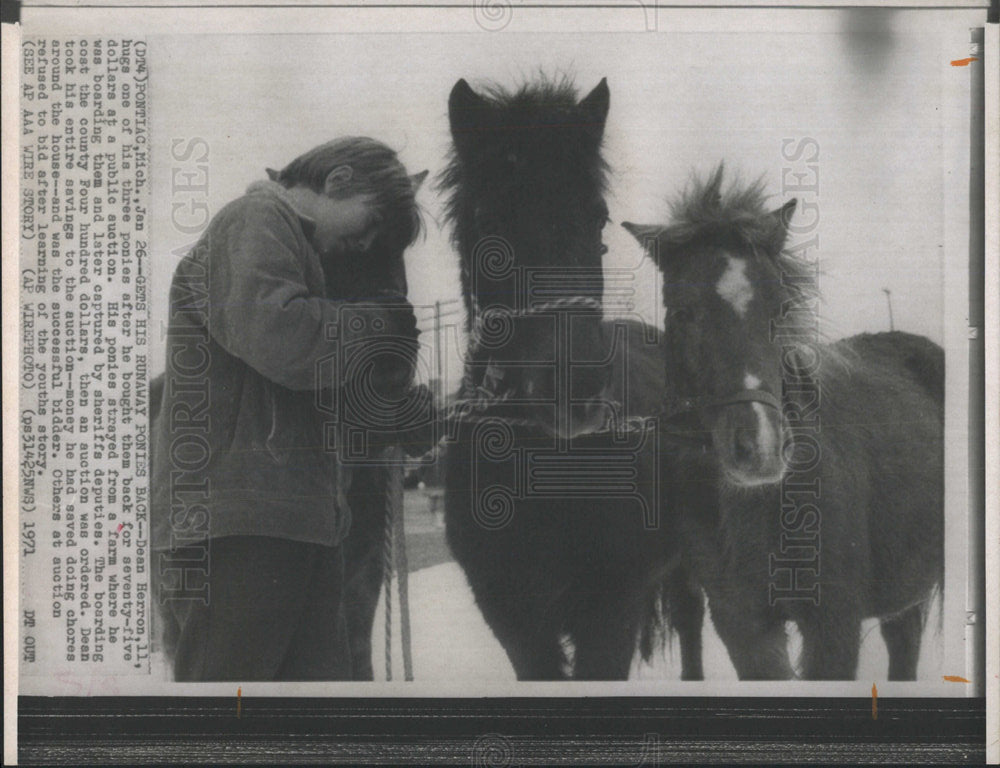 1971 Press Photo Boy Hugging Found Bought Horses Mich - Historic Images