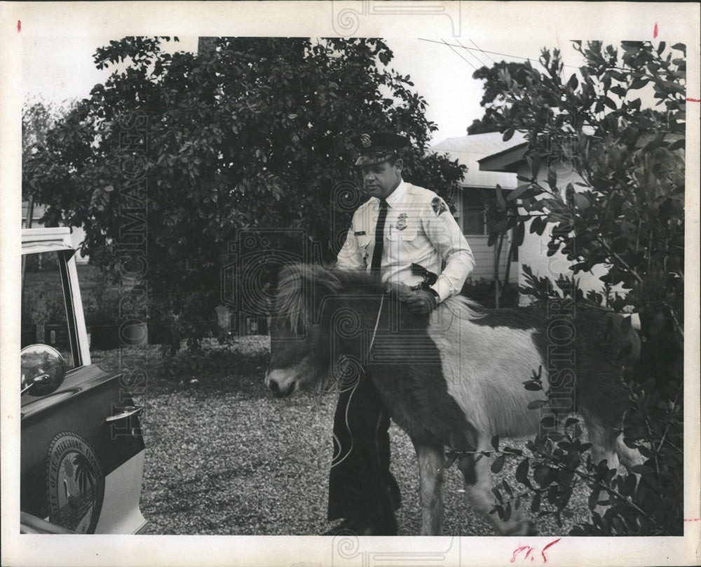 1966 Press Photo peeping horse disrupts morning coffee - Historic Images