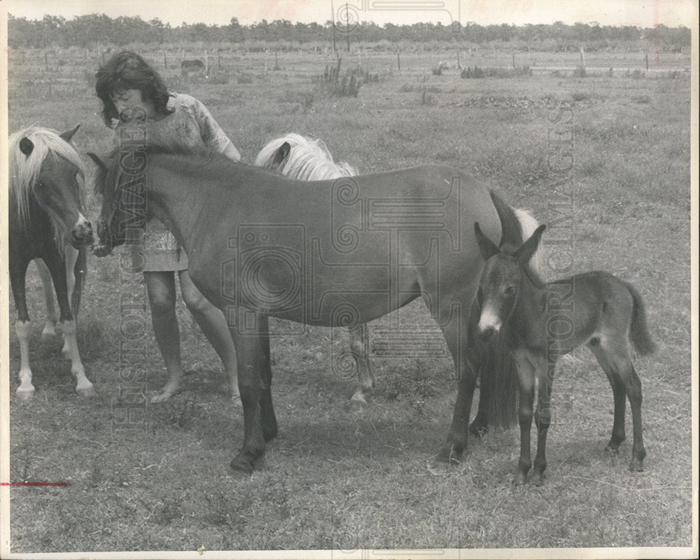 1968 Press Photo Florida&#39;s Sandler Ranch expands - Historic Images