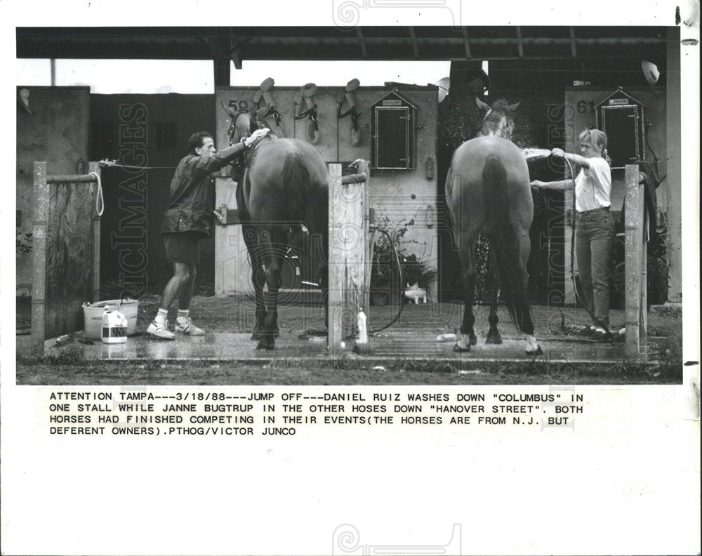 1988 Press Photo Daniel Ruiz &amp; Horse at Horse Show - Historic Images