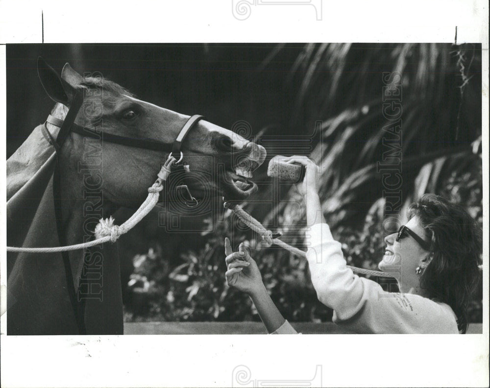 1988 Press Photo Sunshine Stables Horse Show - Historic Images