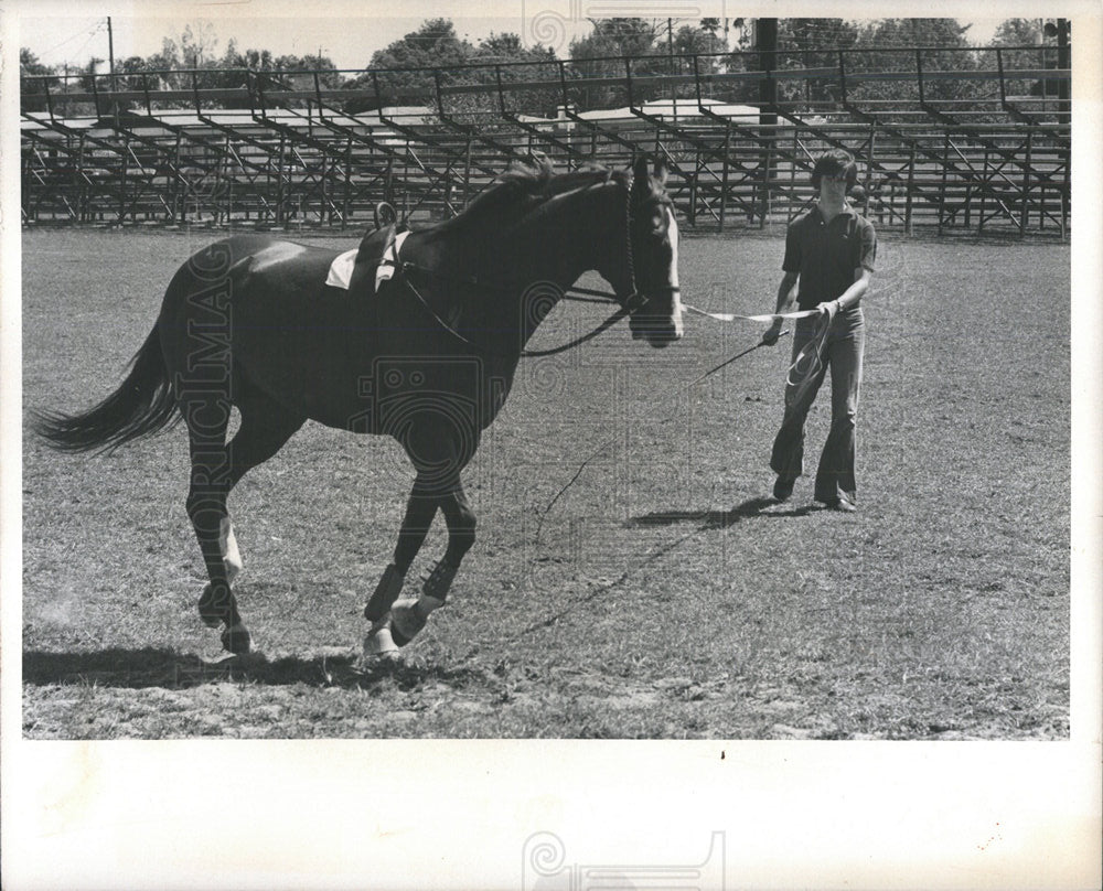 1974 Press Photo Palmetto Horse Tournament - Historic Images