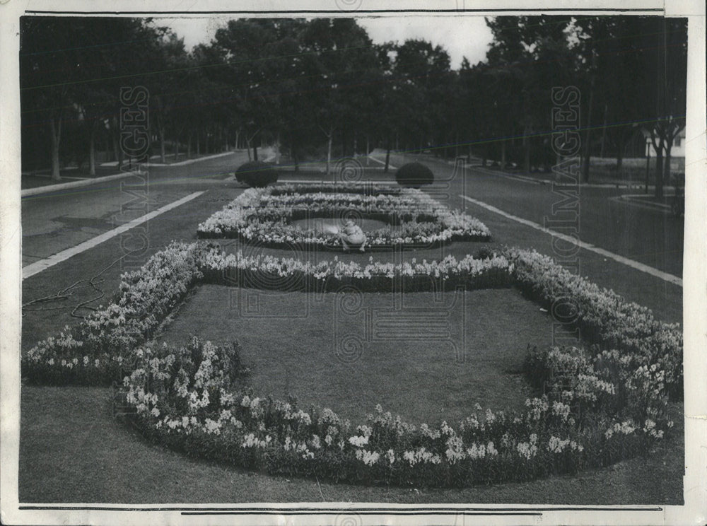 1935 Press Photo Snapdragons Flowers Denver Parks - Historic Images