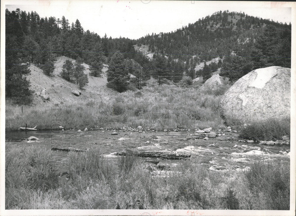 1974 Press Photo Spring Creek South Platte River - Historic Images