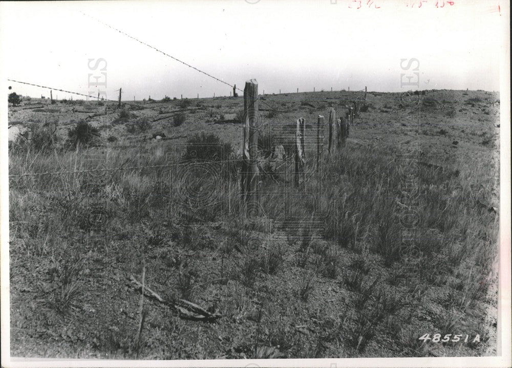 1974 Press Photo Spring Creek Pike National Forest - Historic Images