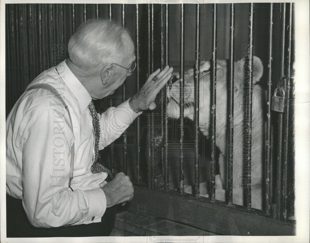 1940 Photo National Zoological Gardens, Washington D.C. - Historic Images