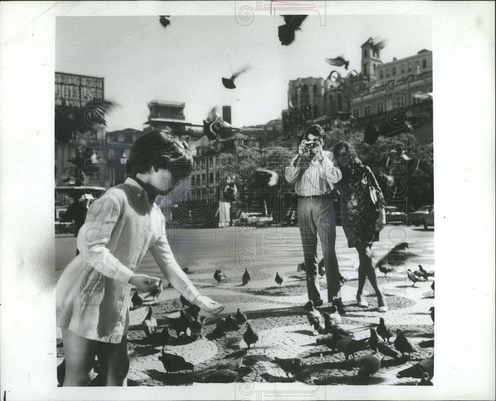 1981 Press Photo Lisbon Portugal pigeon little cheap - Historic Images