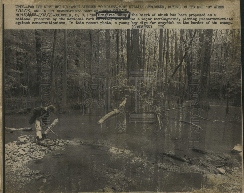 1975 Press Photo Congaree Swamp Columbia S.Carolina - Historic Images