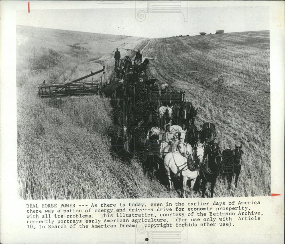 1974 Press Photo Real Horse Power Energy Economic Day - Historic Images