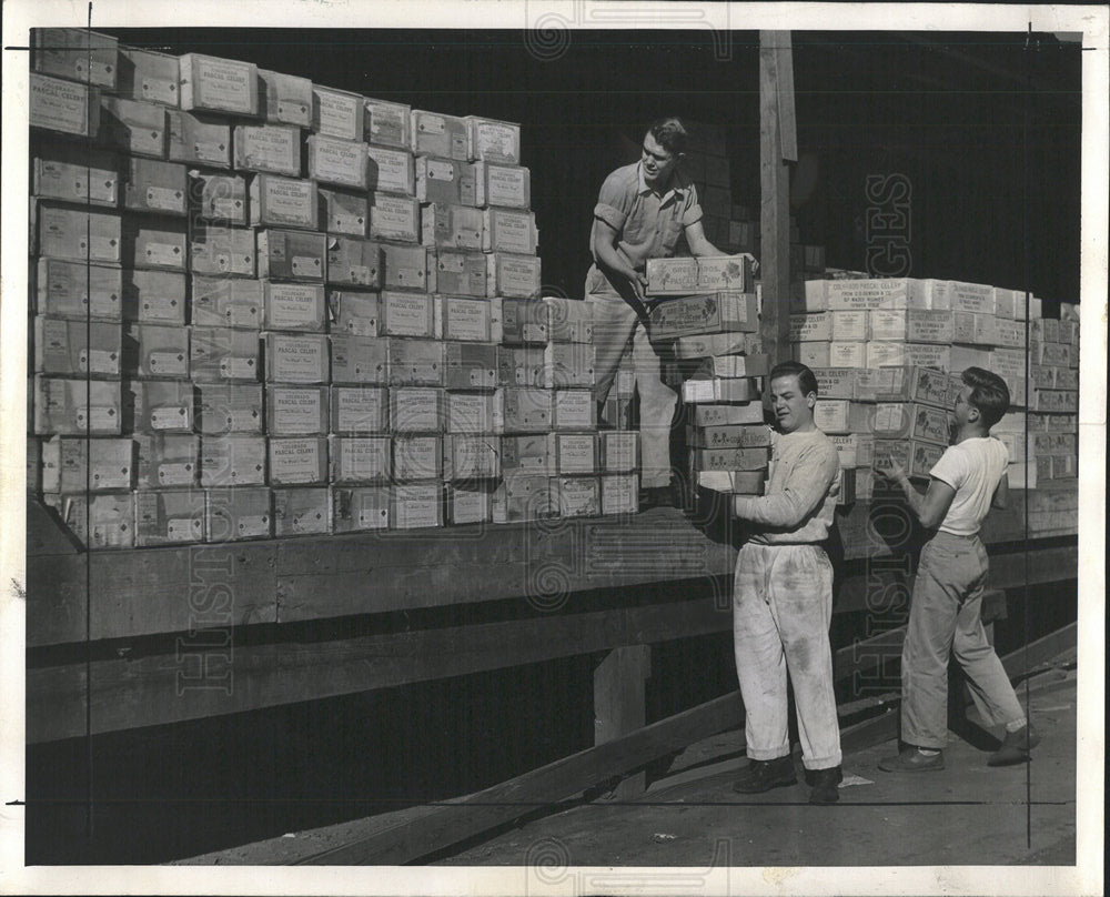 1941 Press Photo Merry Christmas US Colorado Parcel - Historic Images