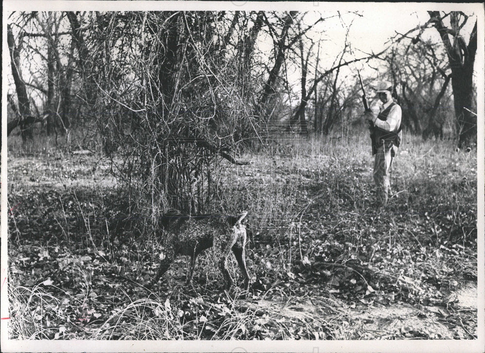 1961 Press Photo Elgie Wasson dog Joe Quail Tree - Historic Images