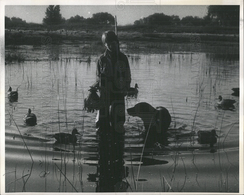 1979 Press Photo Hinting Birds Seasons Speech Suck Teal - Historic Images