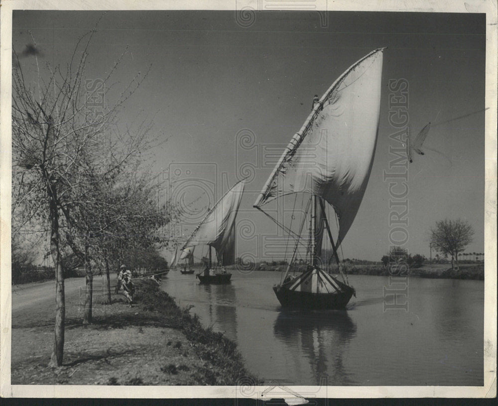 1962Press Photo Egypt still using ancient tranportation - RRX95599- Historic Images