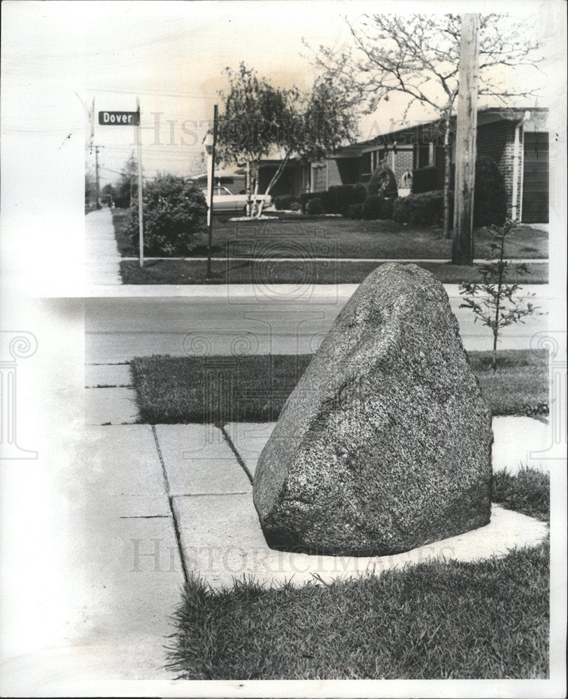 1976 Press Photo Pet Rocks Watchdoogs Grass - Historic Images