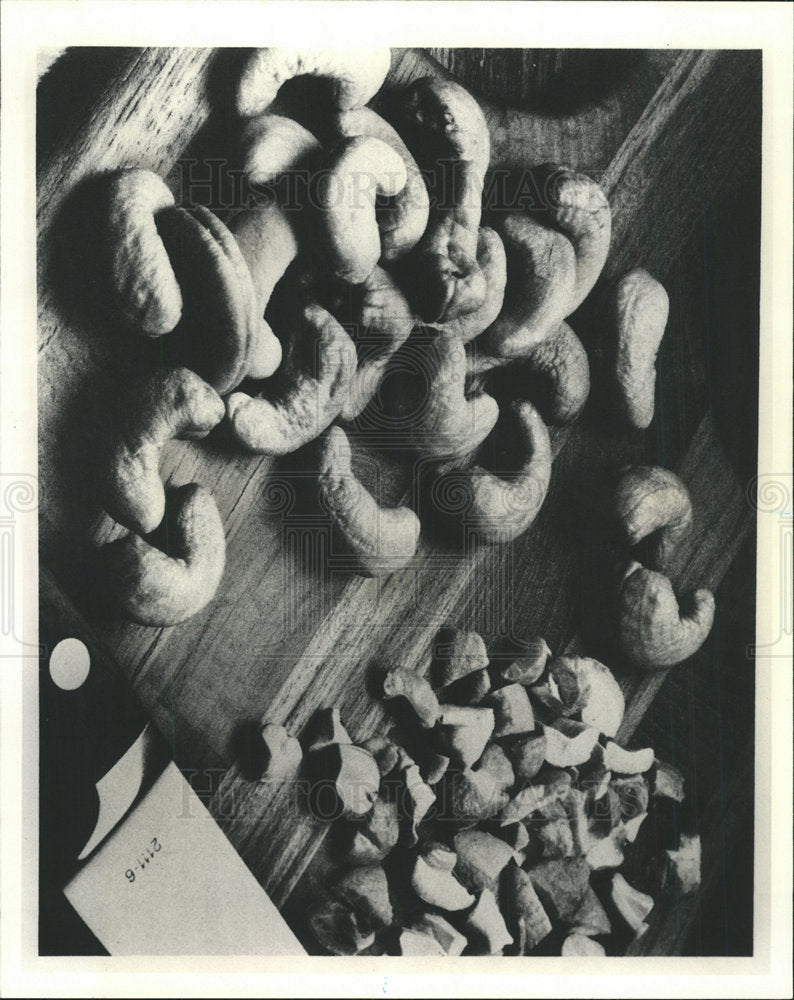 1979 Press Photo Cashew Nuts - Historic Images