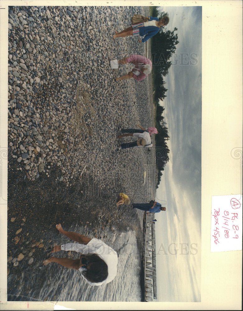 1988 Press Photo Beach-combing on coasts of Michigan. - Historic Images