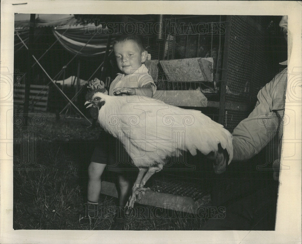 1955 Press Photo Roget Leifheit rooster leaps petted - Historic Images