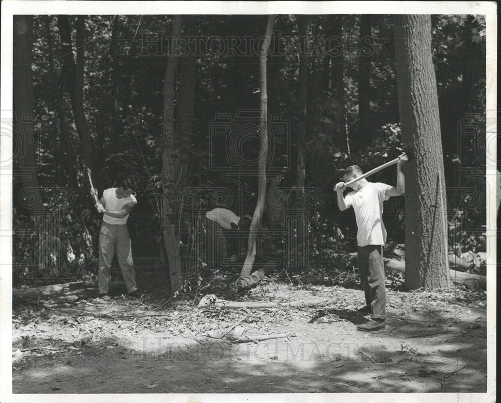 1963 Press Photo Youth Commission Forestry Camp boys - Historic Images