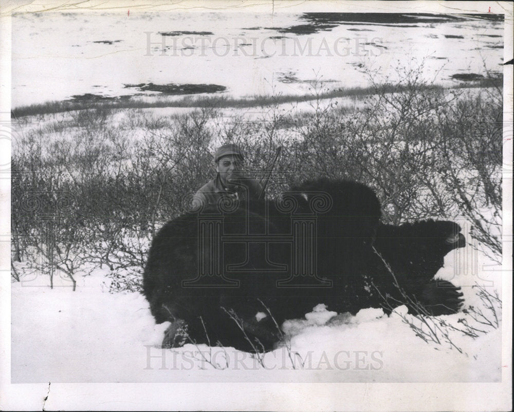 1964 Press Photo Man With Kill Brown Bear Alaska - Historic Images