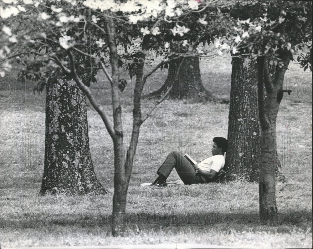 1970 Press Photo Student reads under blooming dogwood - Historic Images