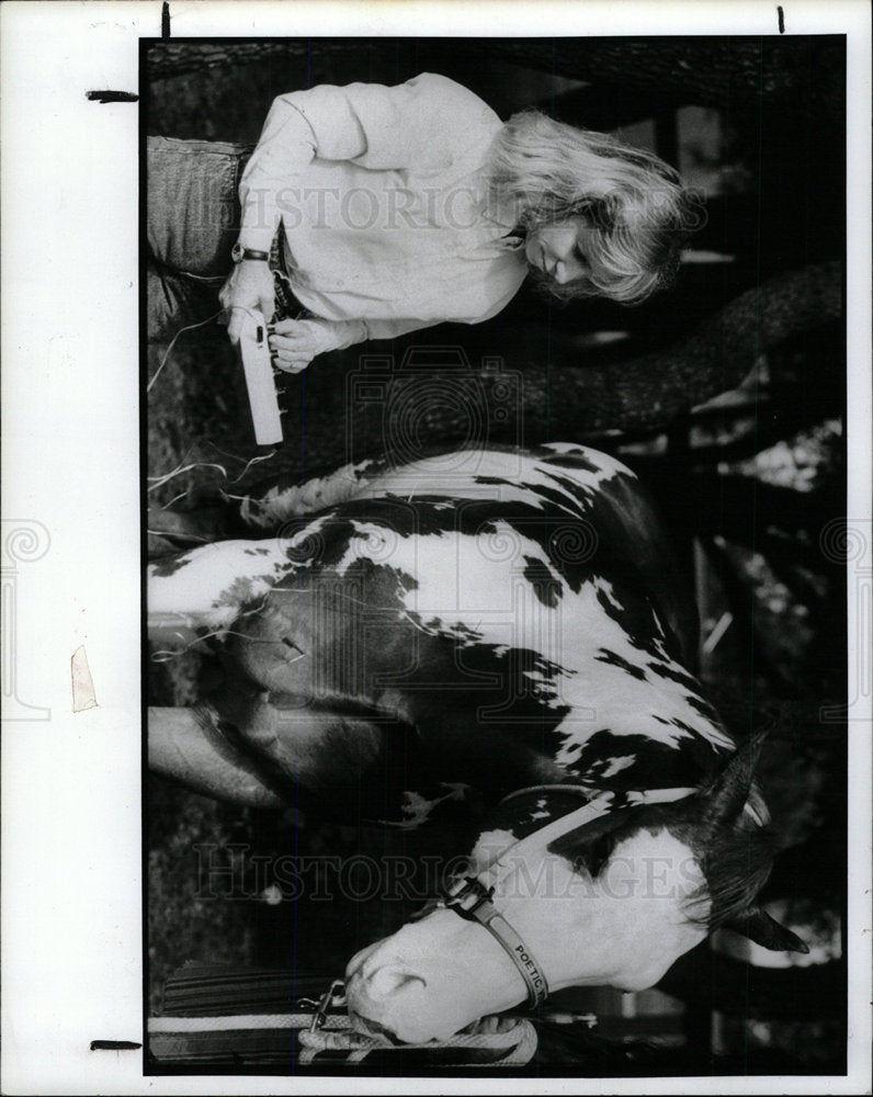 1991 Press Photo Horses Drinking Water - Historic Images