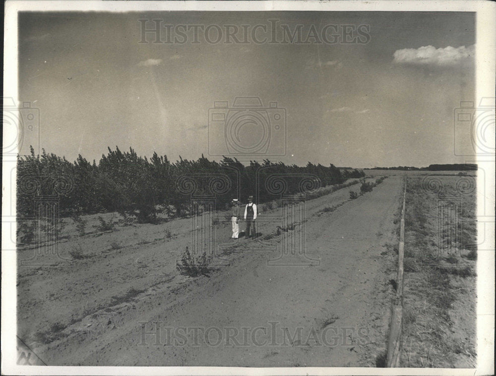 Press Photo Farmer Parker wind-break government planted - Historic Images