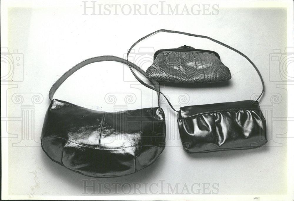 1981 Press Photo Barbara bags pouch bronze leather - Historic Images