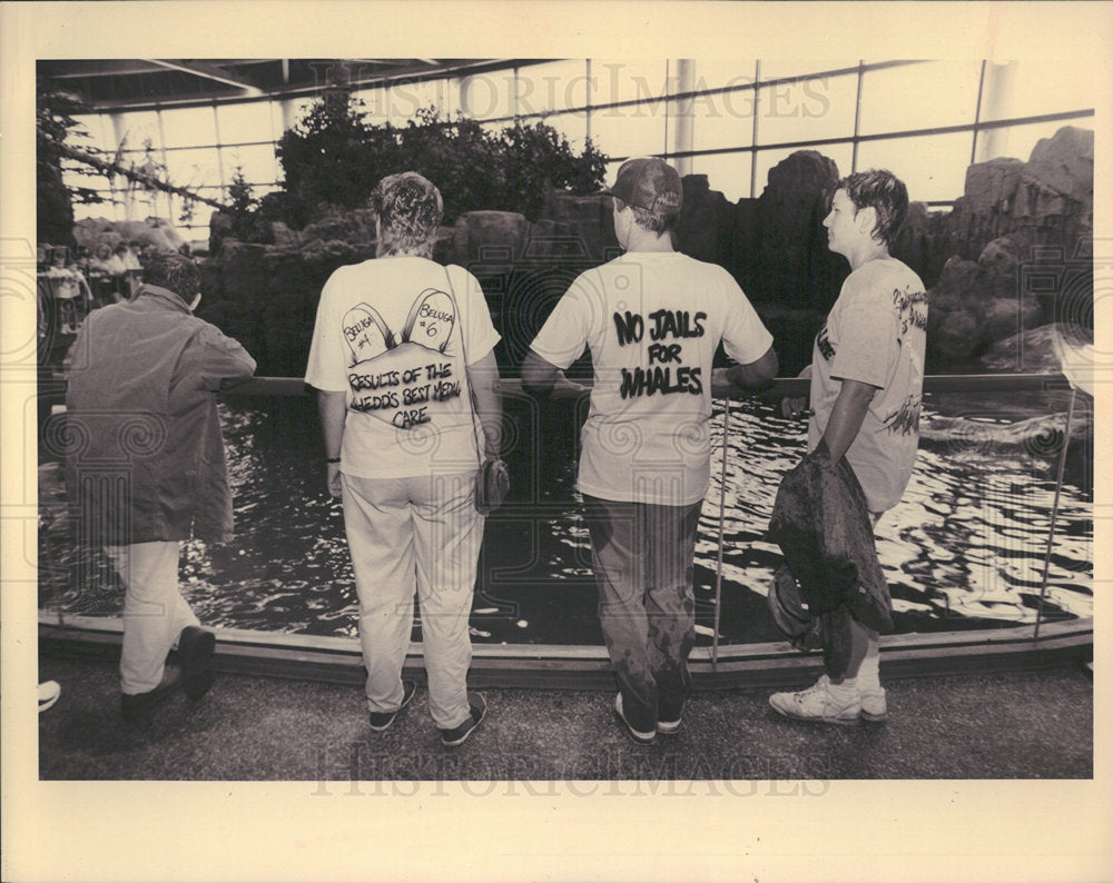 1993 Press Photo Oceanarium Tourists Shedd Aquarium  - Historic Images
