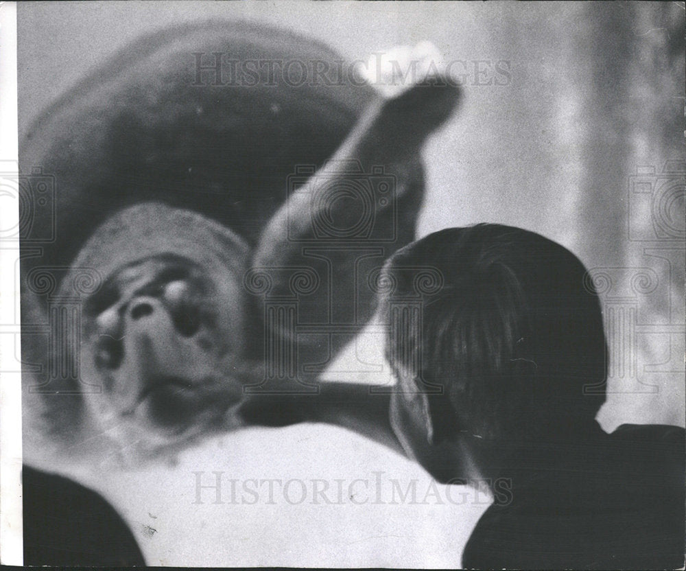 1965 Press Photo Shedd Aquarium/Fish/Illinois - Historic Images