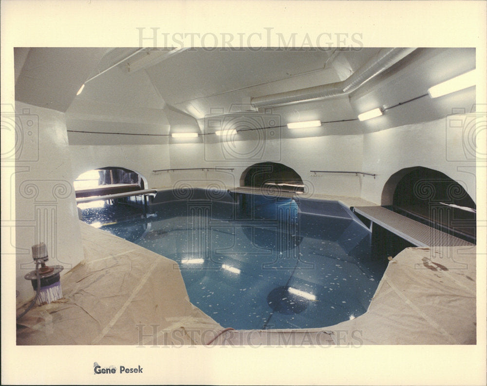1990 Press Photo Shedd Aquarium Oceanarium - Historic Images