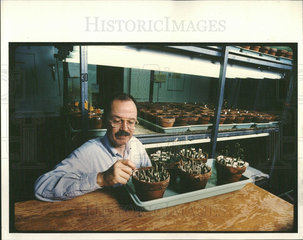 1992 Press Photo MSU botany Professor Christopher plant - Historic Images