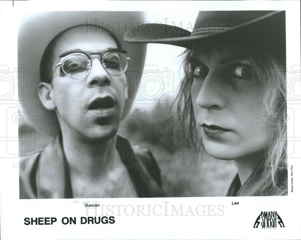 1993 Press Photo Sheep On Drugs Entertainers - Historic Images