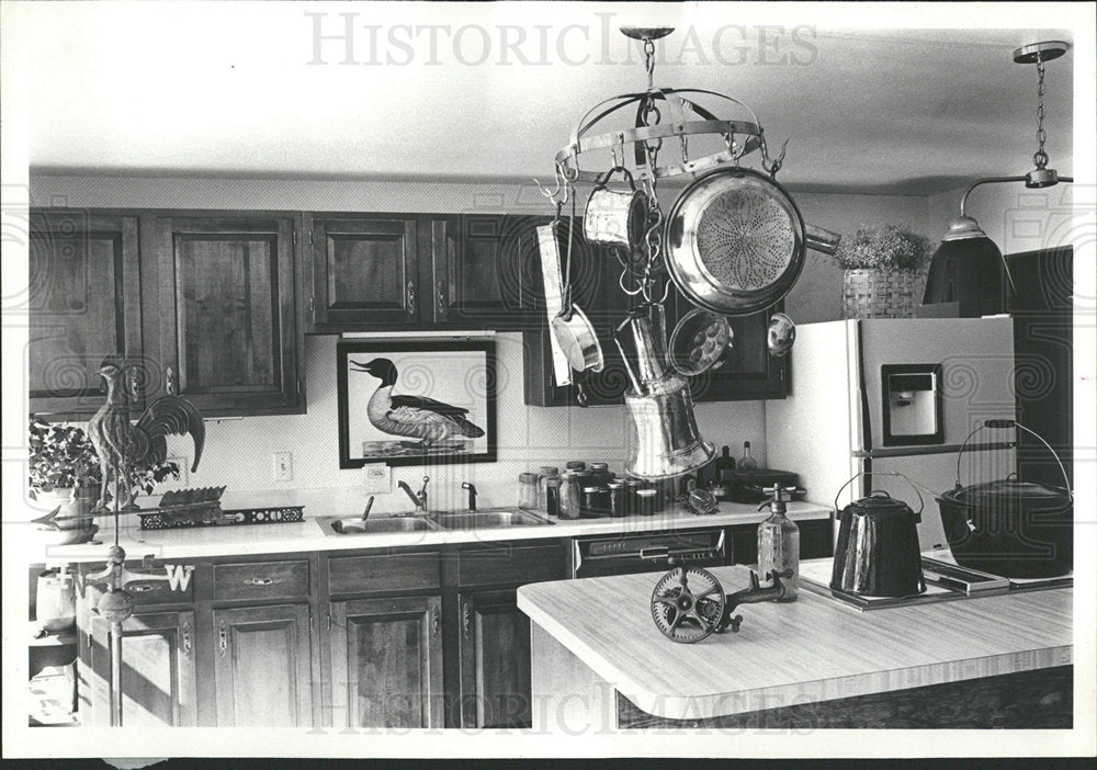 1979 Press Photo Amethyst Chandelie Albino peacock Room - Historic Images