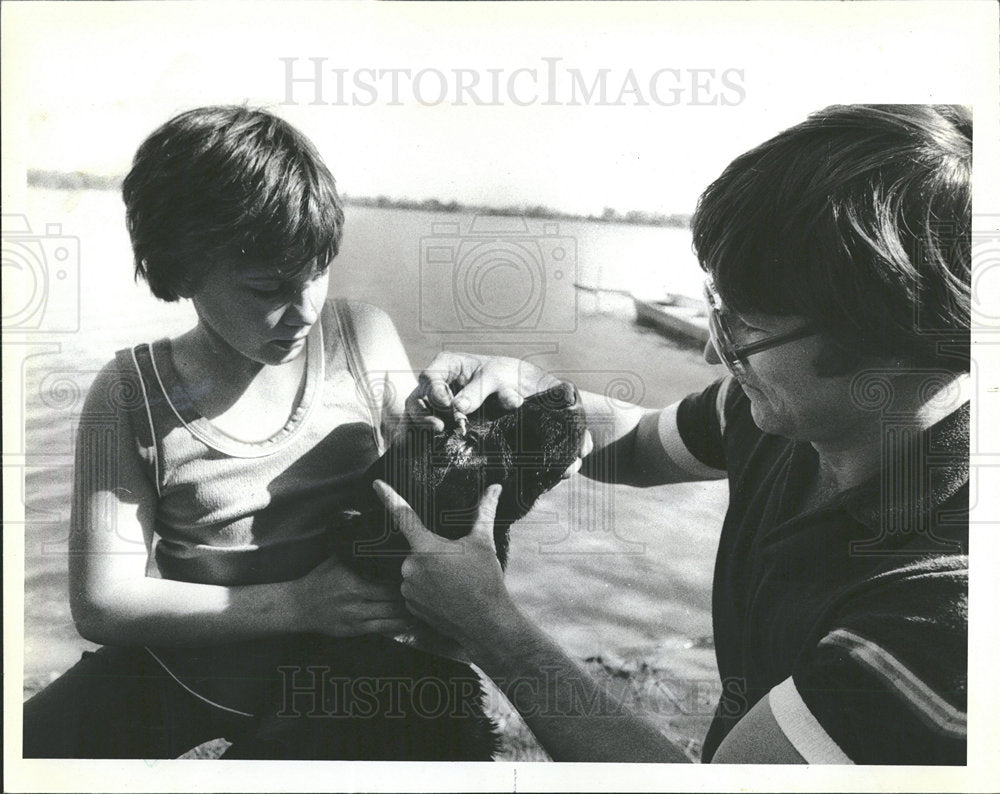 1981 Press Photo Griswold Lake Illinois Contamination  - Historic Images