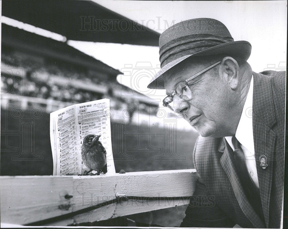 1962 Press Photo Denver area storm heavy rains robin  - Historic Images