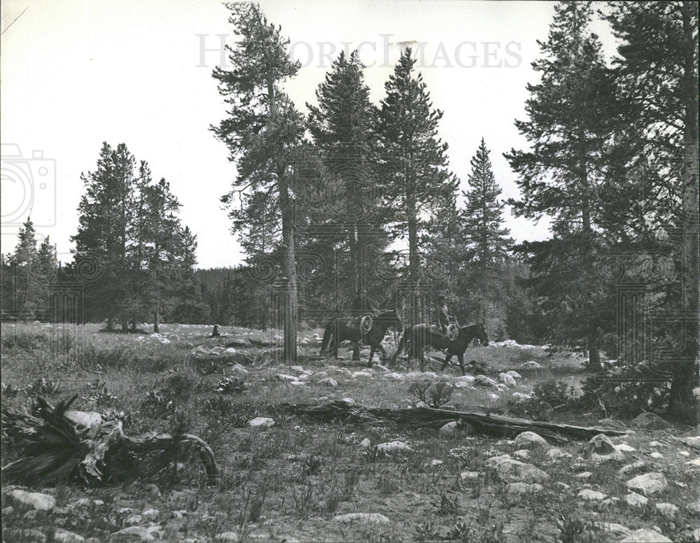 1939 Press Photo Hixon search National Forest Medicine - Historic Images
