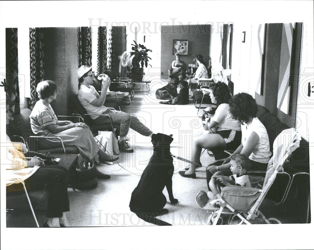 1989 Press Photo Michigan State veterinarian clinic - Historic Images