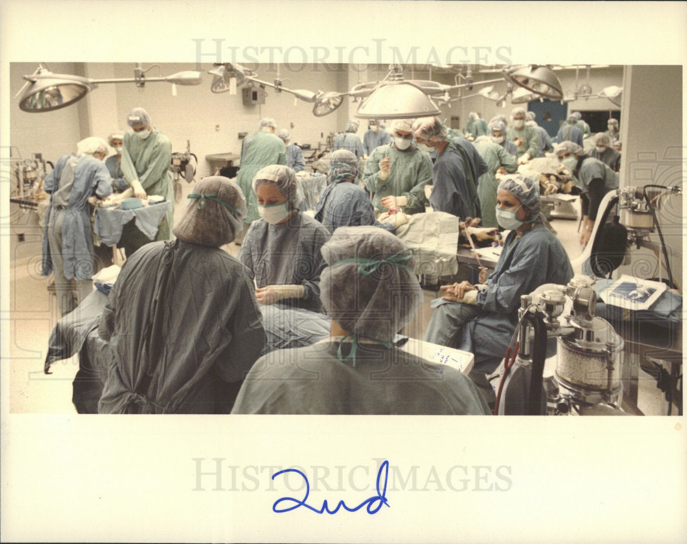 1984 Press Photo Michigan State Veterinary Medicine - Historic Images