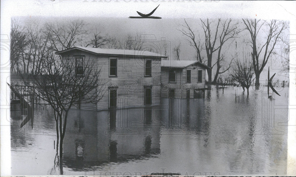 1955 Chesapeake Ohio River Floods  - Historic Images