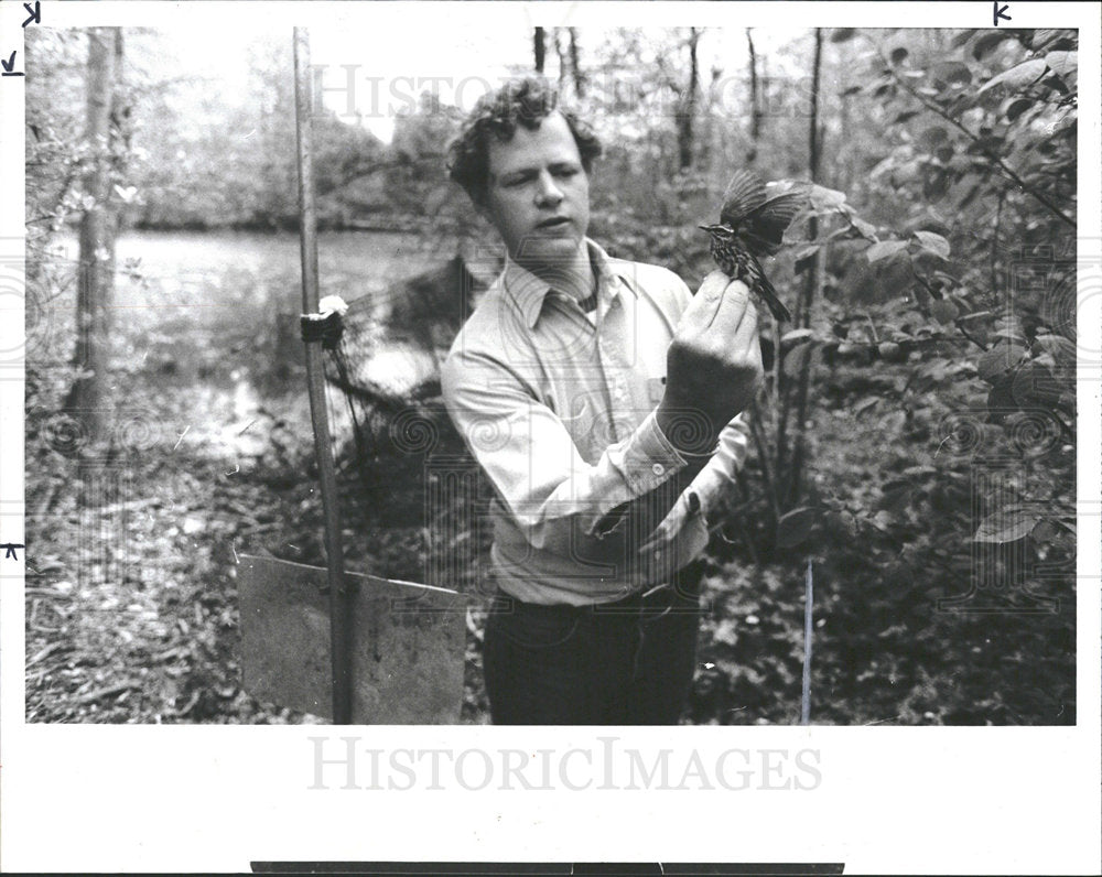 1984 Press Photo Univ Mich Student Banding Wood Thrush - Historic Images