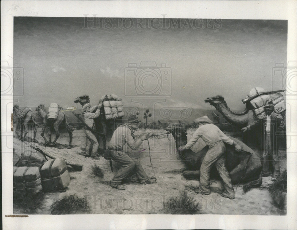 1941 Press Photo camel express freight California 1857 - Historic Images