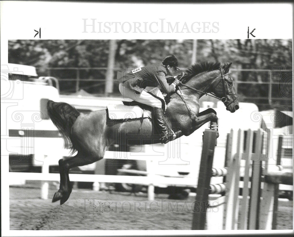 1985 Press Photo Detroit Horse Show Mandair Howard - Historic Images