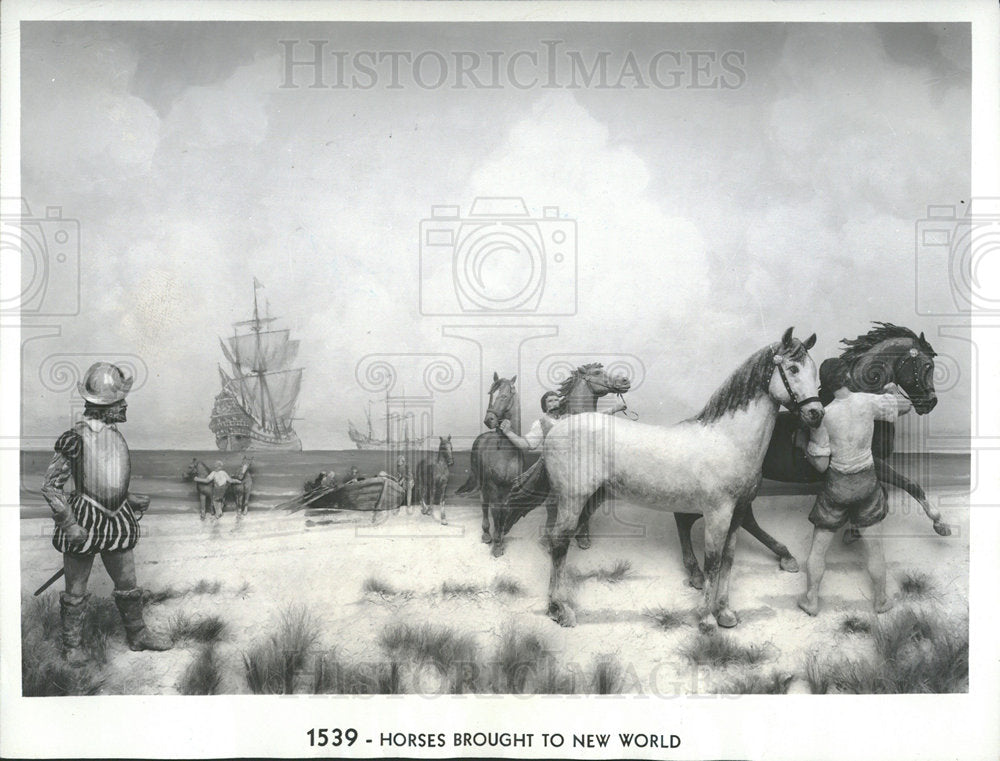 1939 Press Photo Horses Brought To New World Diorama - Historic Images