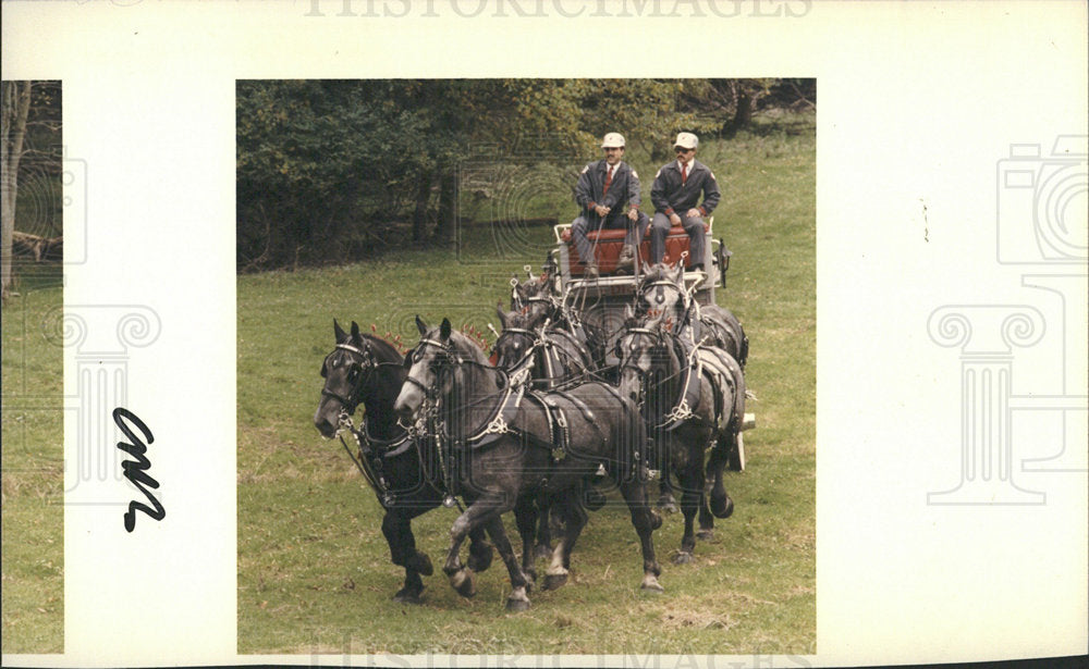 1985 Press Photo Belle River Horse Farm six hitch horse - Historic Images