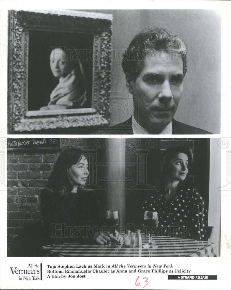 Stephen Lack All the Vermeers in New York Chaulet - Historic Images